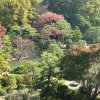 Tokyo_Rikugien_Park_17